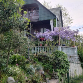 Holiday cottage in nature near the sea